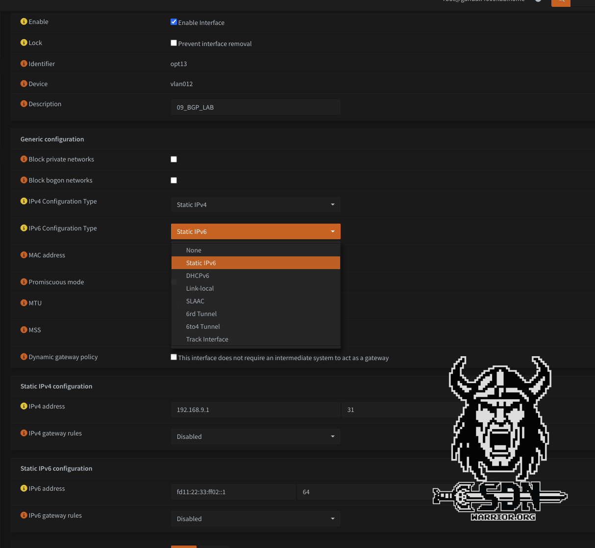 OPNSense Config