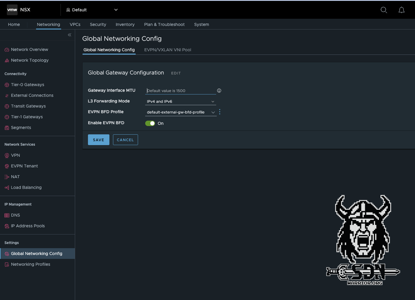 NSX Global Network Config
