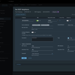 /ipv6-nsx/edge neigbor
