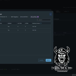 /ipv6-nsx/edge routefilter