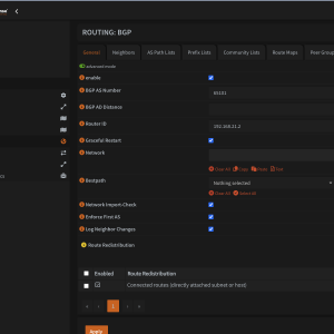 /ipv6-nsx/opnsense-routing
