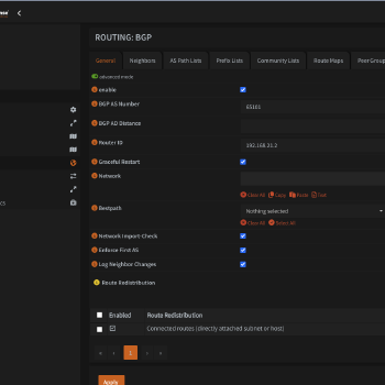 opnsense-routing