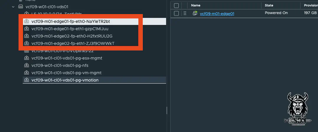 NSX Edge Uplinks